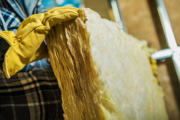 Best Spray Foam Insulation in Lanster, CA