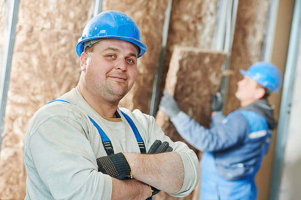 Best Cellulose Insulation in Lanster, CA