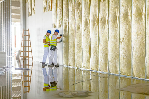 Best Commercial Insulation in Lanster, CA